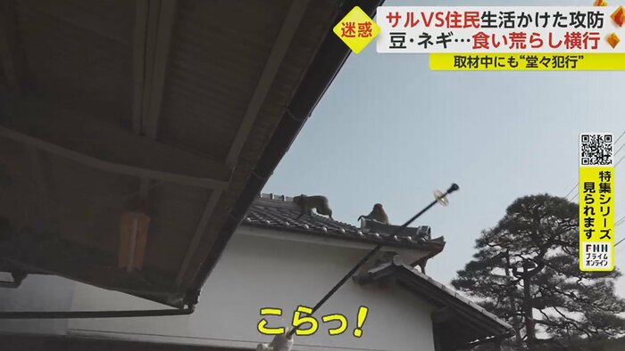 持っていた棒を振りかざして追い払う