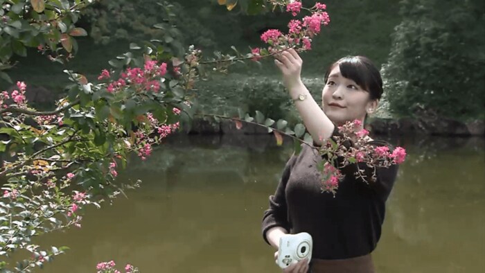 2020年10月眞子さま29歳お誕生日に