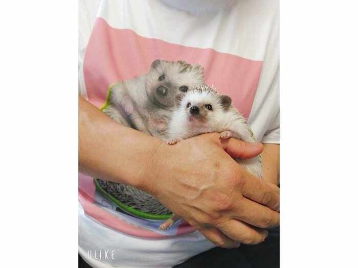 お父さんに抱っこされるちろるちゃん