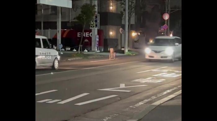 撮影 視聴者