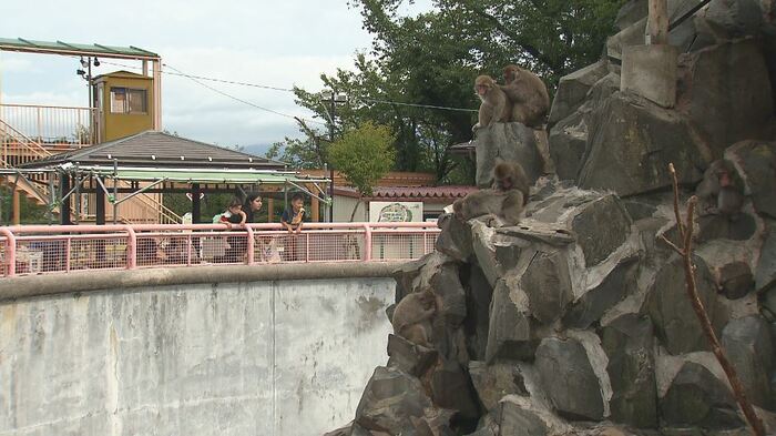 動物とお客さんの距離が近い城山動物園