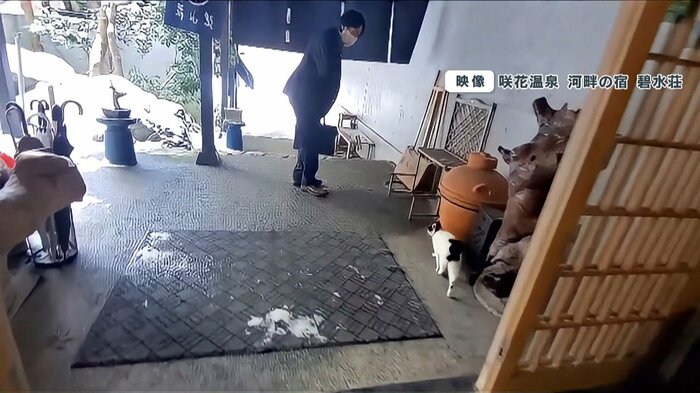 玄関の外までお見送りするチョコちゃん