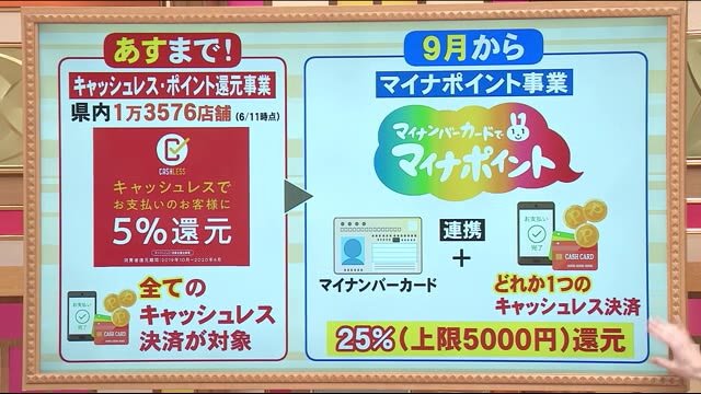 マイナンバーカードとキャッシュレス決済を連携すると…25%還元!? マイナポイントとは