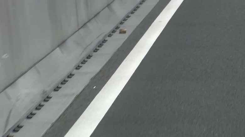 バイクを運転していたとみられる男が出頭　後部座席から転落した女性が後続車にひかれ死亡　東京・勝どき｜FNNプライムオンライン