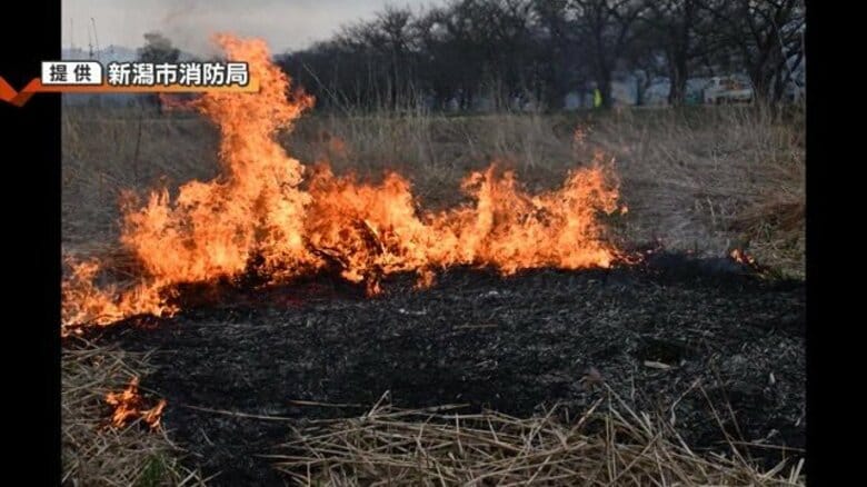 “林野火災”増加傾向の夏「小さな火種からあっという間に燃え広がる」 2年前には1カ月に14件発生…火の取り扱いに注意を！新潟｜FNNプライムオンライン