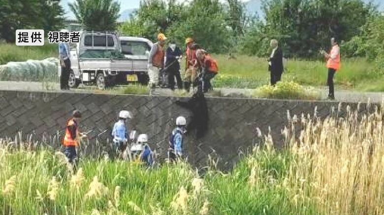 クマが中心市街地にも…目撃件数が2倍　子どもの安全確保など意見交換　長野地域のクマ対策を検討する会議　｜FNNプライムオンライン
