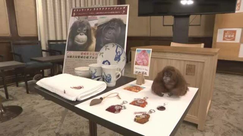「種の保存を一緒に」とべ動物園・オランウータン“カップル”支援へ　愛媛県がクラファン開始【愛媛】｜FNNプライムオンライン
