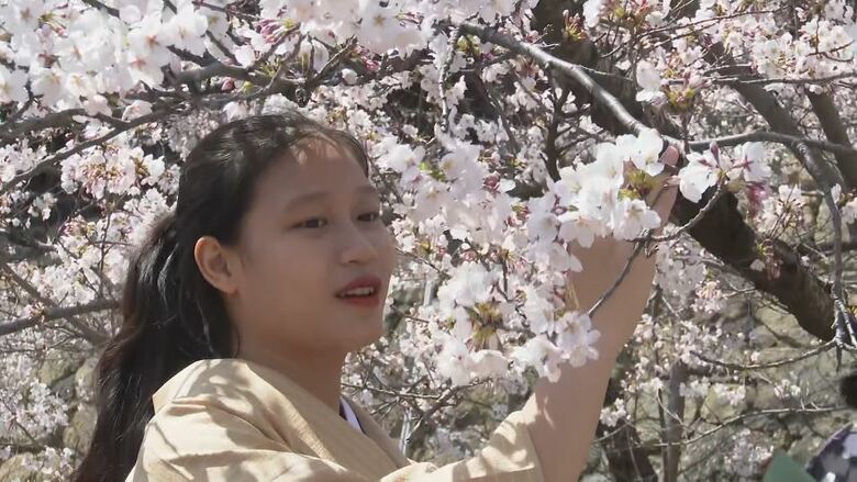 ベトナム人技能実習生13人が着物姿でお花見　今月、来日したばかり「日本文化を勉強したい」　｜FNNプライムオンライン