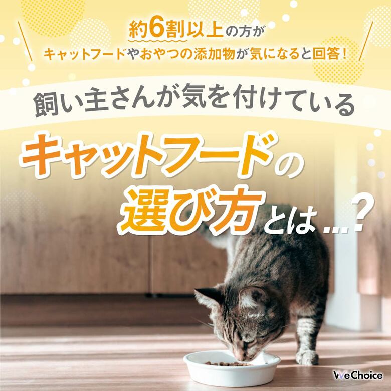 【約6割以上の方がキャットフードやおやつの添加物が気になると回答!】飼い主さんが気を付けているキャットフードの選び方とは...?