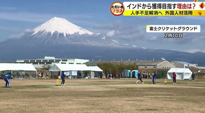 富士市で開かれたクリケット大会（2024年2月）