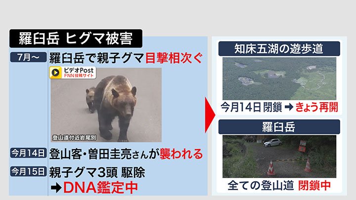 羅臼岳 ヒグマ被害