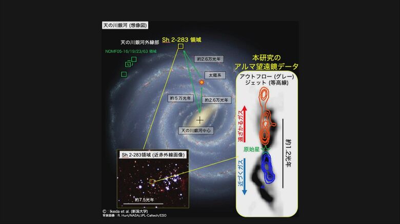 提供：池田達紀さん（新潟大学）