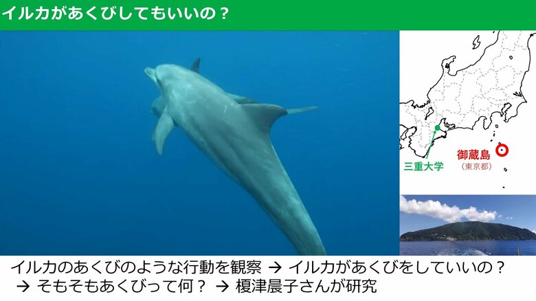 研究の経緯と御蔵島の場所（提供：森阪教授）
