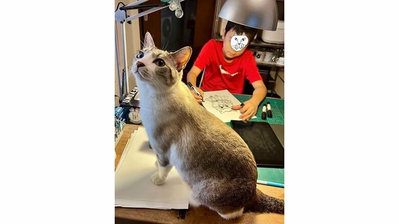 ネコに見守られながら制作するKENくん（提供：なみそさん）