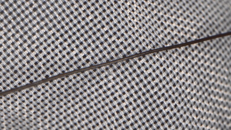 髪の毛と比べる事で、網目の細かさが分かる