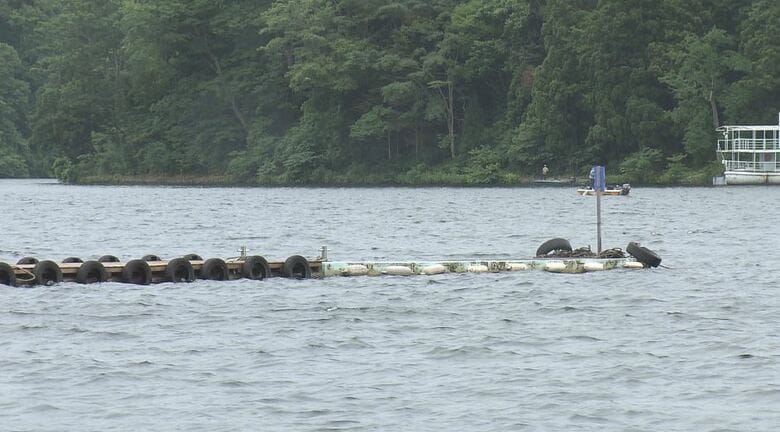 野尻湖（7月15日）