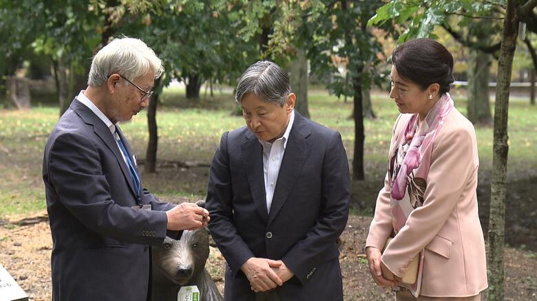 京都府立植物園「どんぐりの森」をご覧になる天皇皇后両陛下
