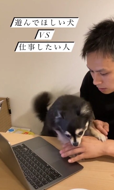 でもやっぱり仲良しなふたり