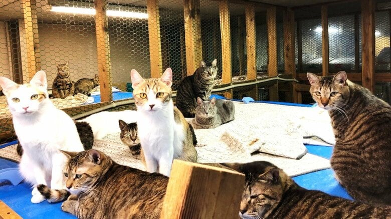 施設の安全を保てるのかも課題