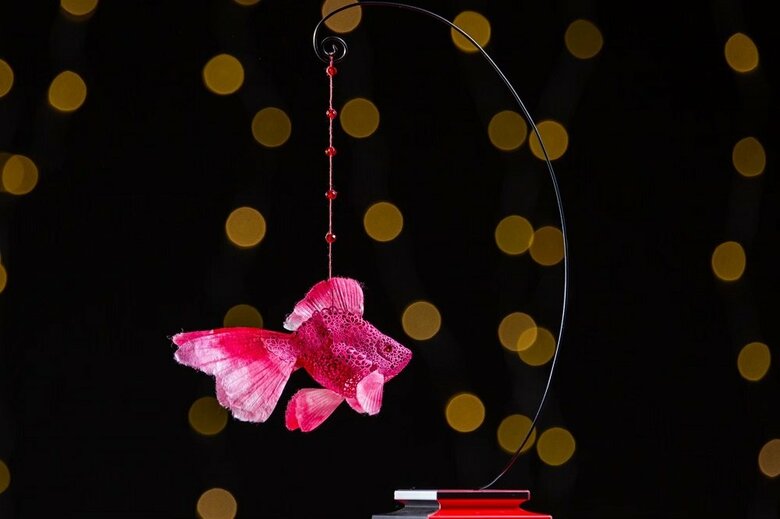 金魚”ルビー”