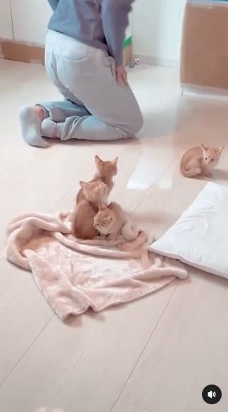 提供：oimo & yuzukiさん