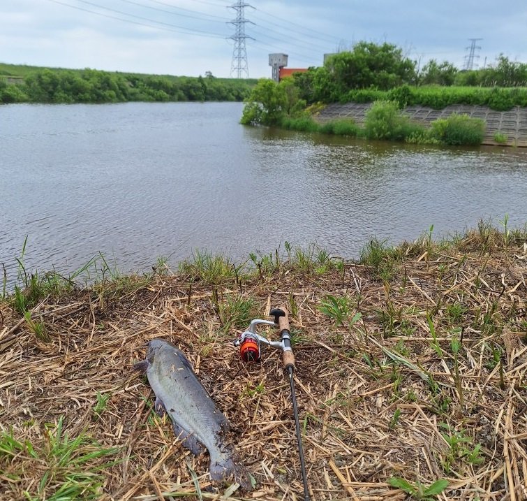 提供：木下さん