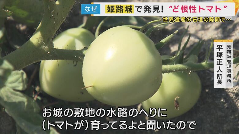 「あ、ほんとや～」と気づく