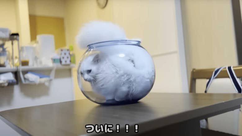 初めて“壺”に入った瞬間（提供：雨と雪之丞さん）