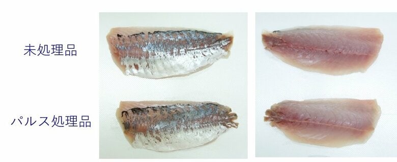 “殺虫処理をしていない切り身”と“殺虫処理をした切り身”の比較（提供：ジャパンシーフーズ）