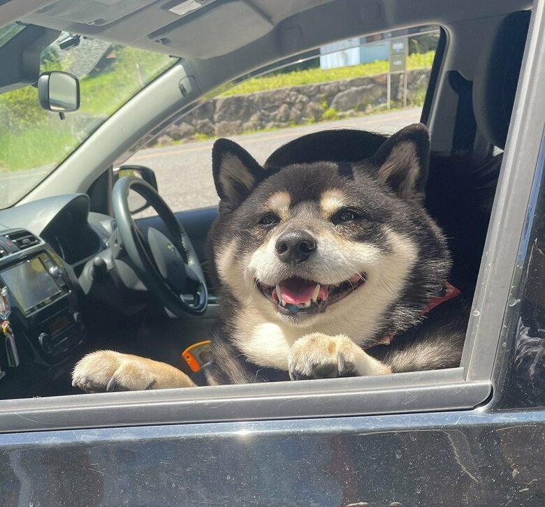 乗ってくかい？