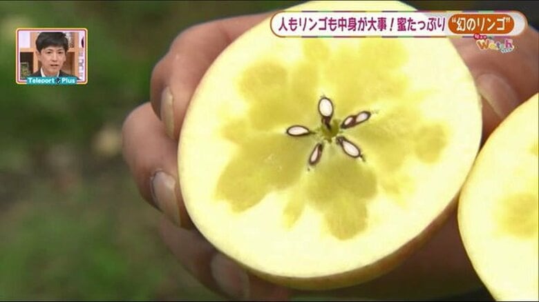 蜜がたっぷり詰まった「サン蜜こうとく」