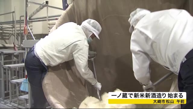 宮城県大崎市の酒蔵で新米新酒造り始まる