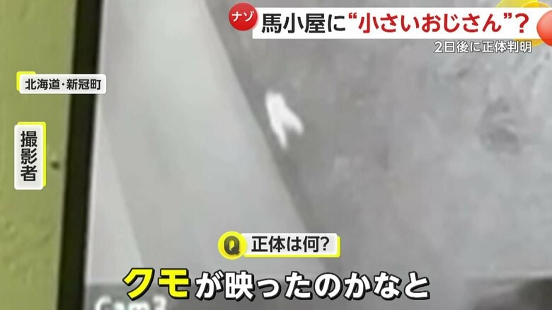 「昆虫のクモが映ったのかなと…」と語っている撮影者