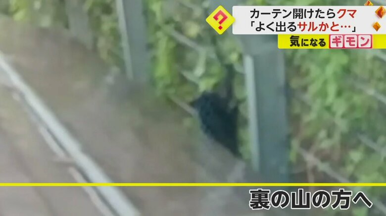 （FNN投稿サイト「ビデオPost」）