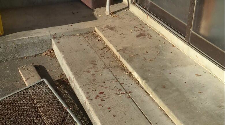 男性がクマに襲われた色麻町の現場