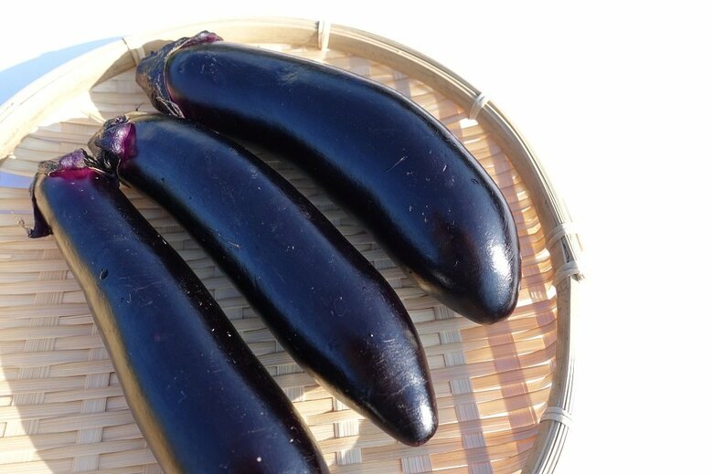 市場価値が“高い”なす（イメージ）