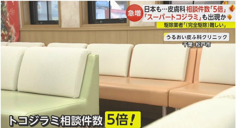 この病院ではこの夏以降、トコジラミの相談件数が5倍に増加