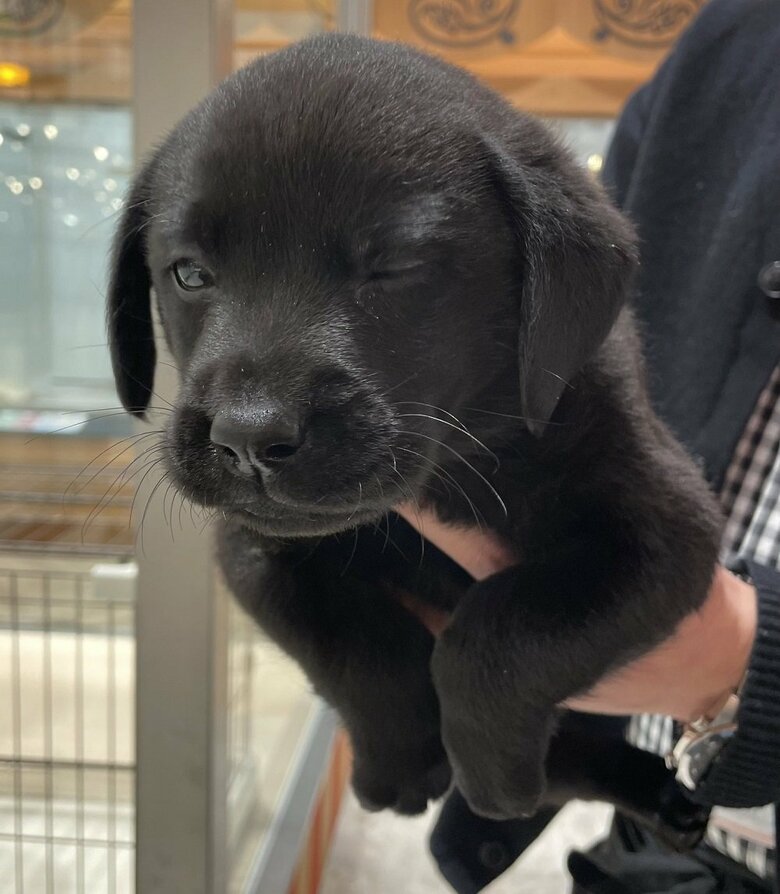 子ども時代のぽこちゃん　ウインクしている