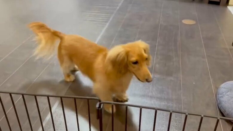 寂しそうな表情のボンくんだった