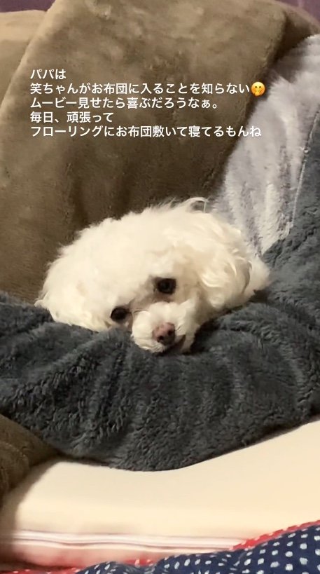 提供：＠tanaka.akemi1225