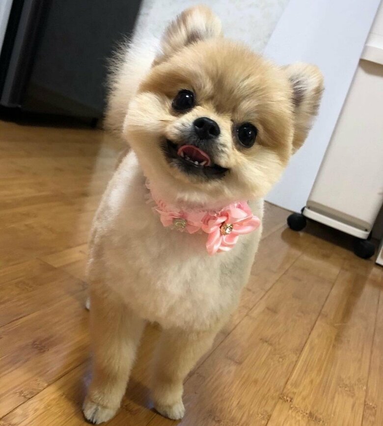 カットするとこうなる