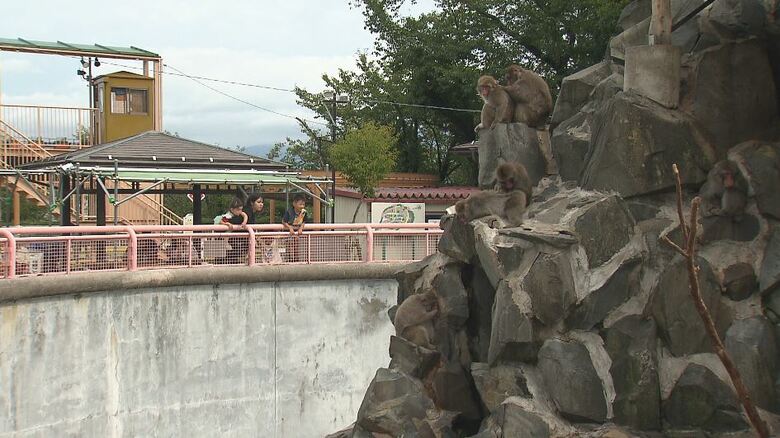 動物とお客さんの距離が近い城山動物園