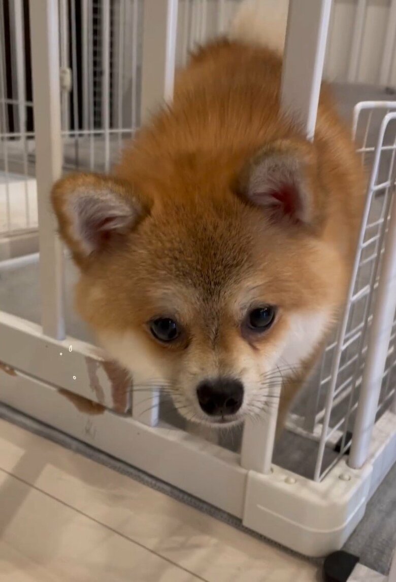 挟まってしまったことも