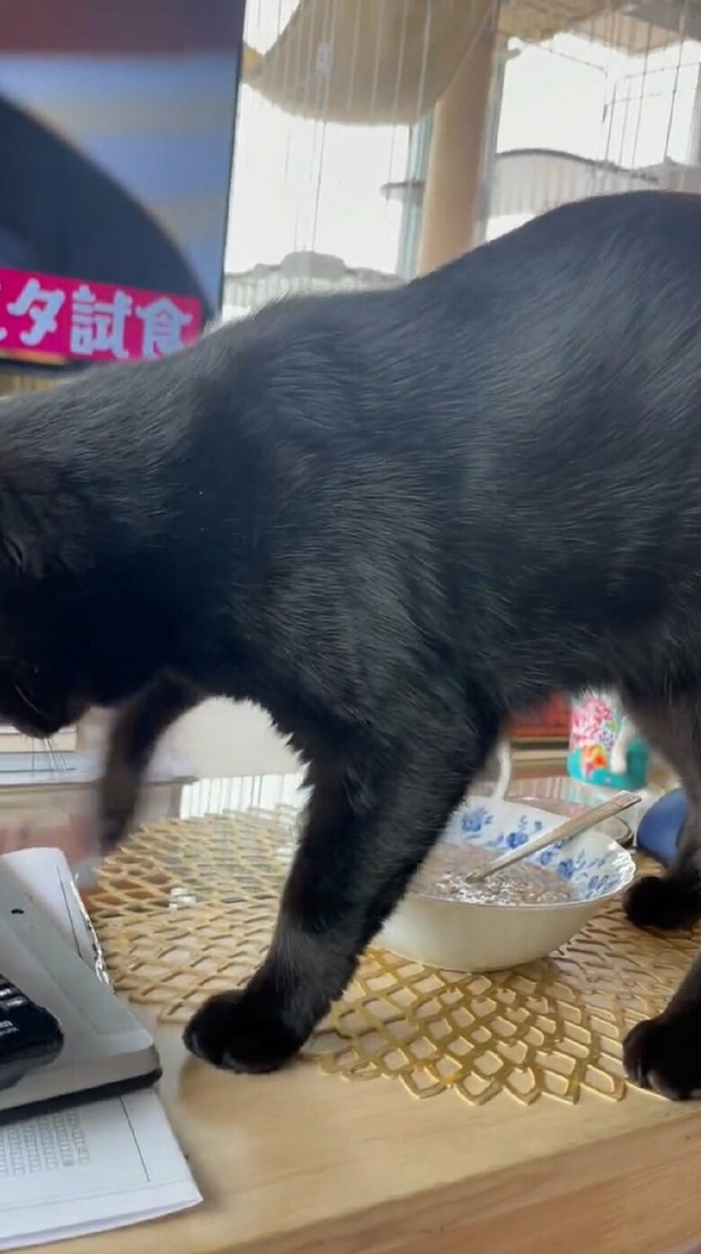 角度を変えてカキカキ