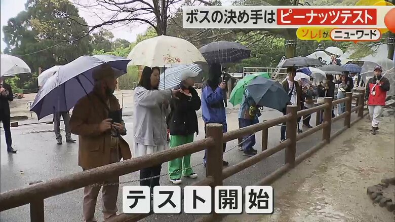 ボス認定のためのピーナッツテストを見守る観客