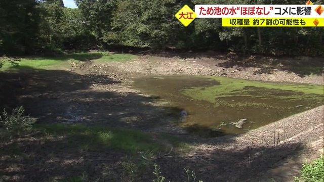 水がほとんどなくなってしまったため池