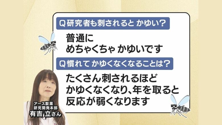 刺されすぎると「かゆくなくなる」？