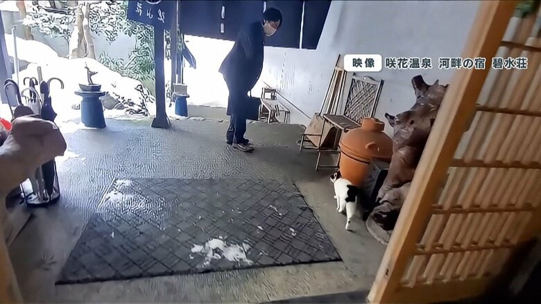玄関の外までお見送りするチョコちゃん