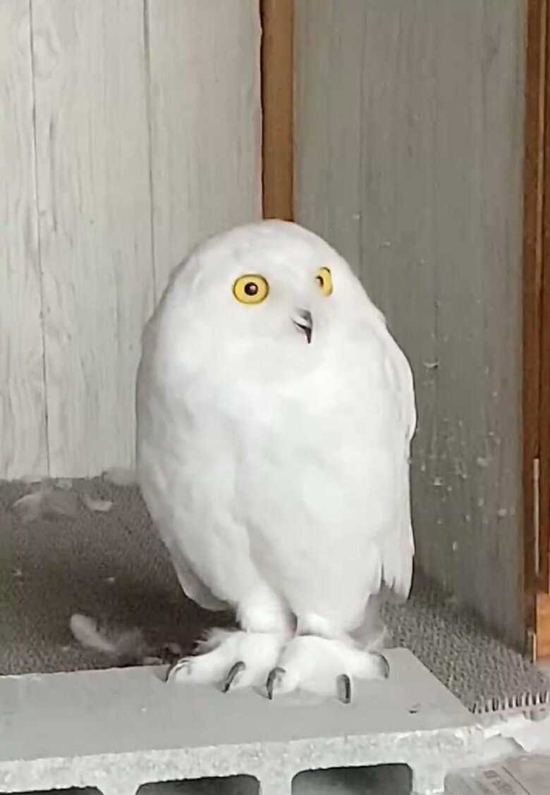 窓の外をジーッと見て…。