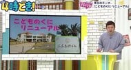 観光地青島が生まれ変わる！「こどものくに」大改造 ！　キャンプ場やバーベキューエリア、環境保持の取り組みも